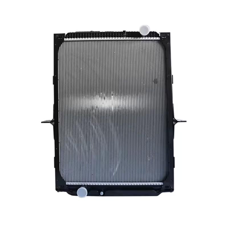 Radiator ea lisebelisoa tsa enjene DZ91125328